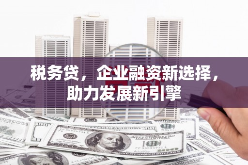 沧源税务贷，企业融资新选择，助力发展新引擎