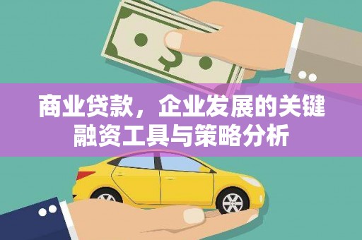 沧源商业贷款，企业发展的关键融资工具与策略分析