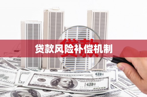沧源贷款风险补偿机制