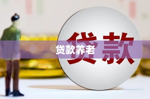 沧源贷款养老