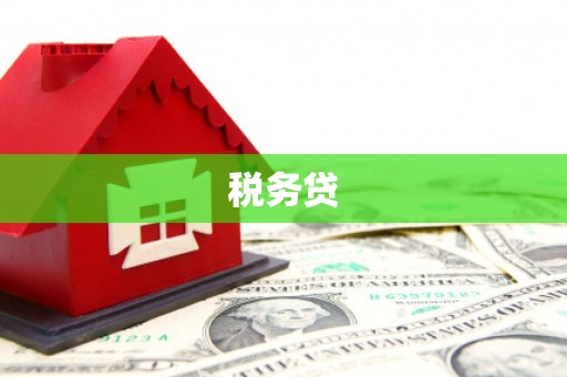 沧源税务贷