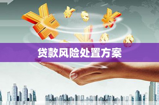 沧源贷款风险处置方案