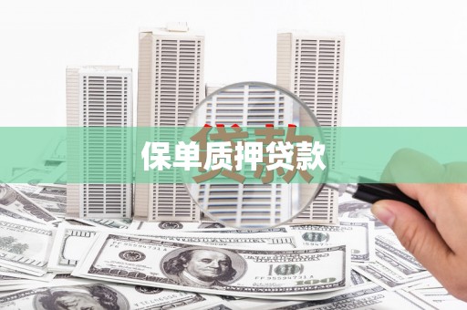 沧源保单质押贷款