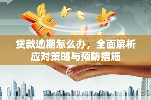 沧源贷款逾期怎么办，全面解析应对策略与预防措施