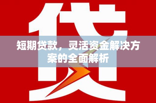 沧源短期贷款，灵活资金解决方案的全面解析