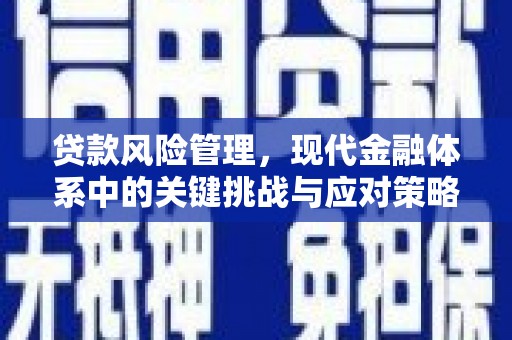 沧源贷款风险管理，现代金融体系中的关键挑战与应对策略