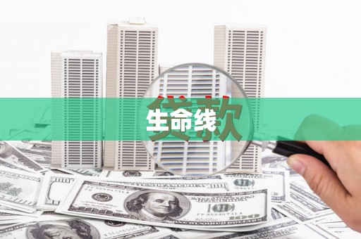 沧源生命线