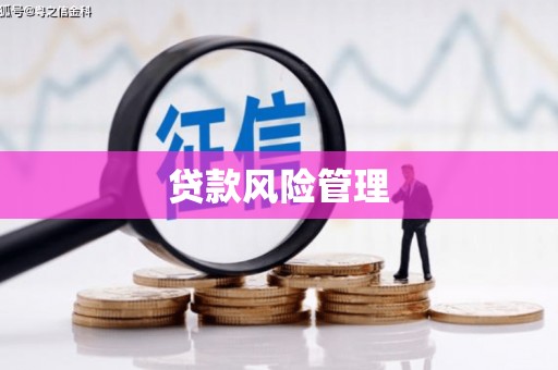 沧源贷款风险管理
