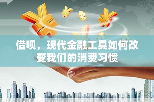 沧源借呗，现代金融工具如何改变我们的消费习惯