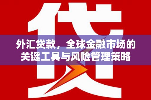 沧源外汇贷款，全球金融市场的关键工具与风险管理策略