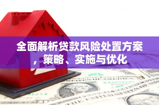 沧源全面解析贷款风险处置方案，策略、实施与优化