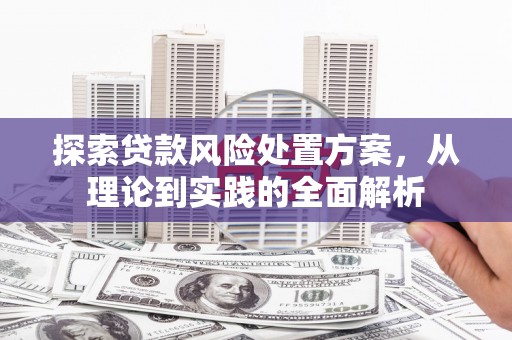 沧源探索贷款风险处置方案，从理论到实践的全面解析