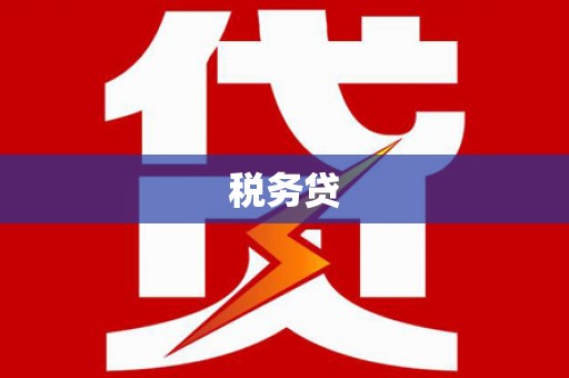 沧源税务贷