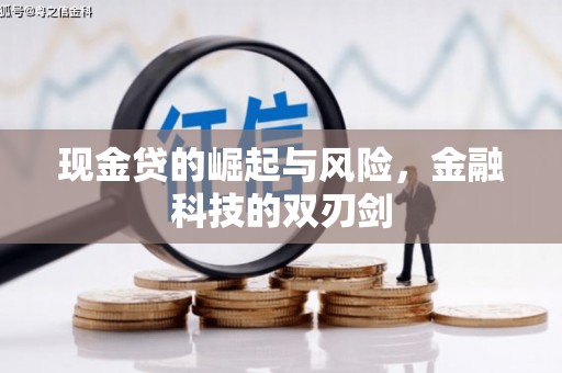 沧源现金贷的崛起与风险，金融科技的双刃剑