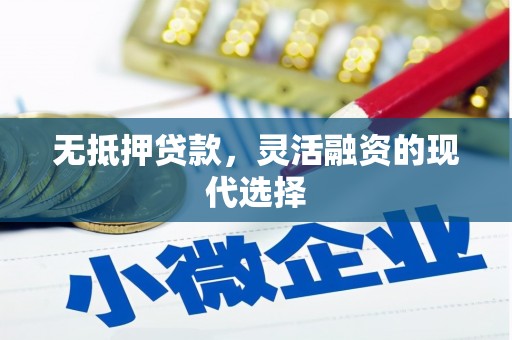 沧源无抵押贷款，灵活融资的现代选择