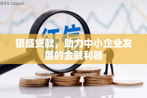 沧源银盛贷款，助力中小企业发展的金融利器
