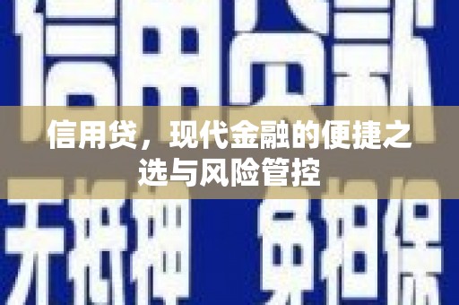 沧源信用贷，现代金融的便捷之选与风险管控