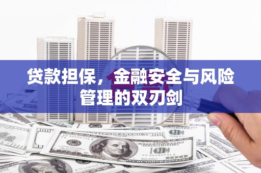 沧源贷款担保，金融安全与风险管理的双刃剑