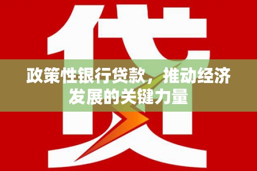沧源政策性银行贷款，推动经济发展的关键力量