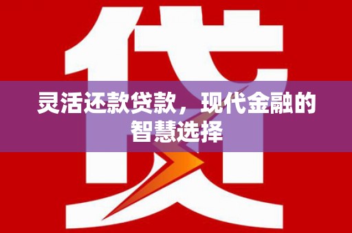 沧源灵活还款贷款，现代金融的智慧选择