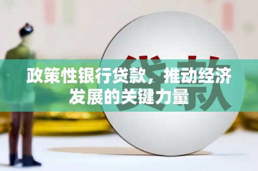 沧源政策性银行贷款，推动经济发展的关键力量