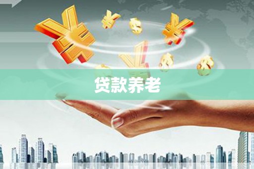 沧源贷款养老