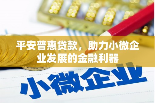 沧源平安普惠贷款，助力小微企业发展的金融利器