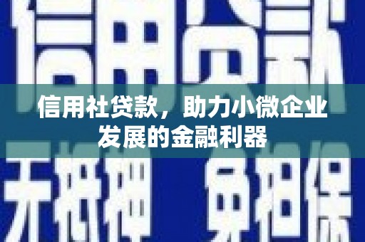 沧源信用社贷款，助力小微企业发展的金融利器