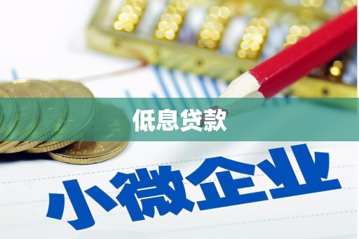 沧源低息贷款