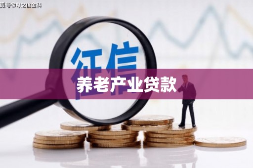 沧源养老产业贷款