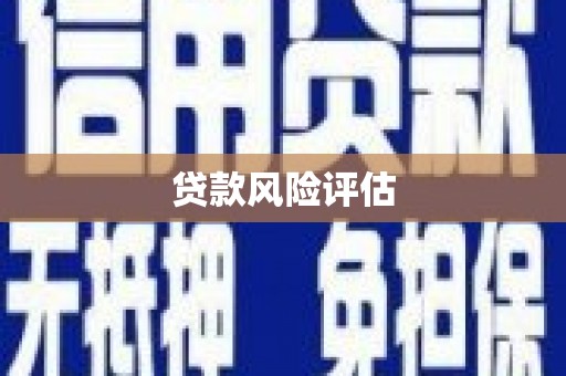 沧源贷款风险评估