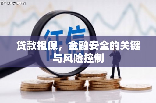 沧源贷款担保，金融安全的关键与风险控制