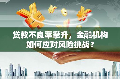 沧源贷款不良率攀升，金融机构如何应对风险挑战？