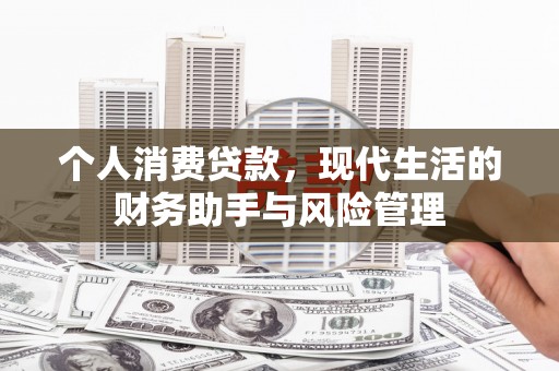 沧源个人消费贷款，现代生活的财务助手与风险管理