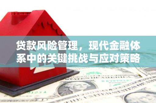 沧源贷款风险管理，现代金融体系中的关键挑战与应对策略