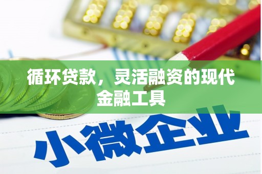 沧源循环贷款，灵活融资的现代金融工具