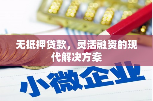 沧源无抵押贷款，灵活融资的现代解决方案
