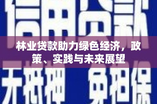 沧源林业贷款助力绿色经济，政策、实践与未来展望