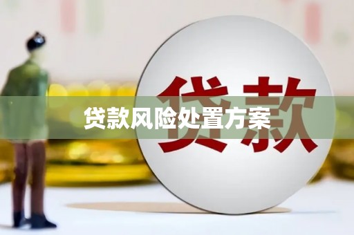 沧源贷款风险处置方案