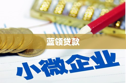 沧源蓝领贷款