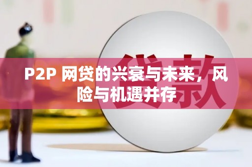 沧源P2P 网贷的兴衰与未来，风险与机遇并存