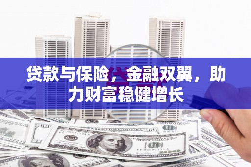 沧源贷款与保险，金融双翼，助力财富稳健增长