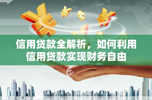 沧源信用贷款全解析，如何利用信用贷款实现财务自由